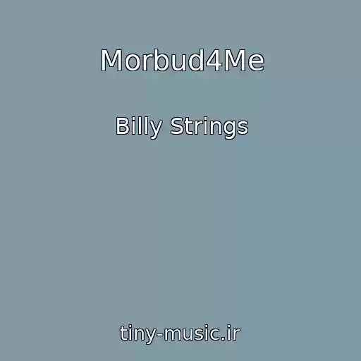 کاور آهنگ Morbud4Me از Billy Strings