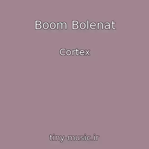 کاور آهنگ Boom Bolenat از Cortex