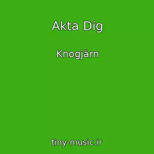 کاور آهنگ Akta Dig از Knogjärn