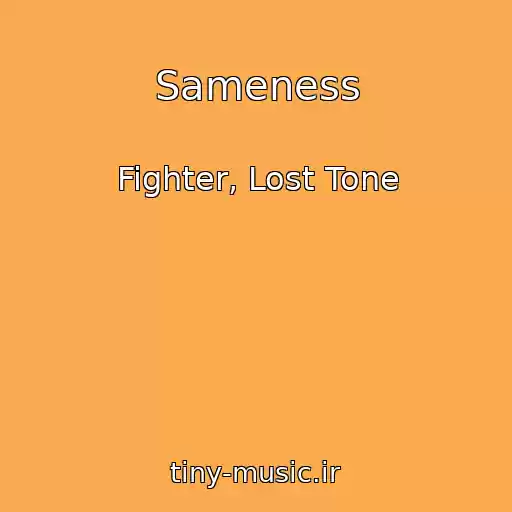 کاور آهنگ Sameness از Fighter, Lost Tone