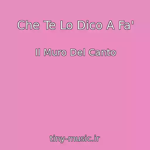 کاور آهنگ Che Te Lo Dico A Fa' از Il Muro Del Canto