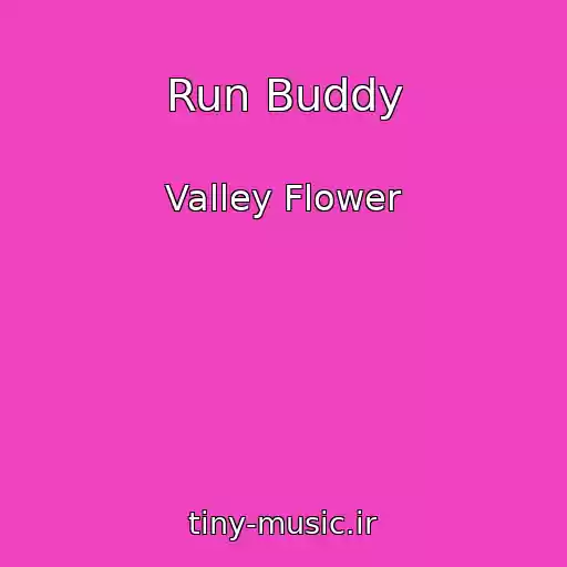 کاور آهنگ Run Buddy از Valley Flower