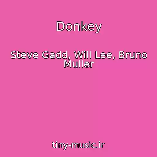 کاور آهنگ Donkey از Steve Gadd, Will Lee, Bruno Muller