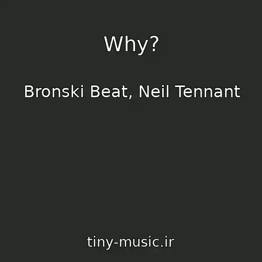 کاور آهنگ Why? از Bronski Beat, Neil Tennant
