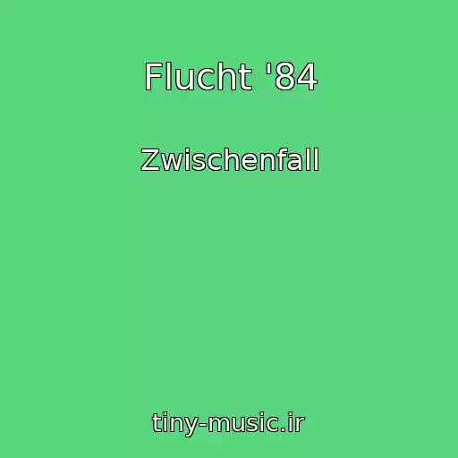 کاور آهنگ Flucht '84 از Zwischenfall