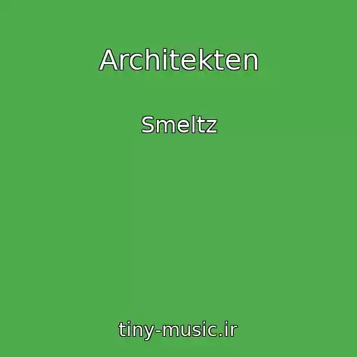 کاور آهنگ Architekten از Smeltz