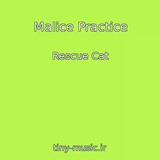 کاور آهنگ Malice Practice از Rescue Cat
