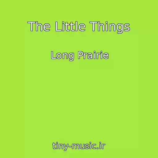 کاور آهنگ The Little Things از Long Prairie