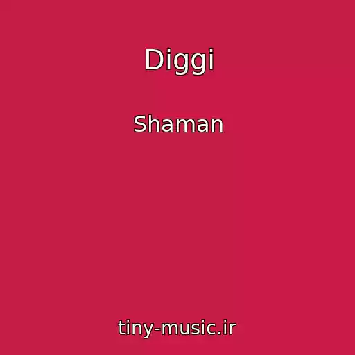کاور آهنگ Diggi از Shaman