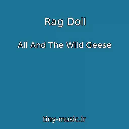 کاور آهنگ Rag Doll از Ali And The Wild Geese