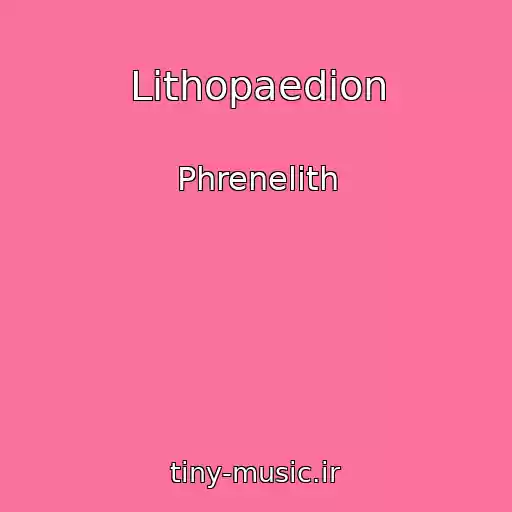 کاور آهنگ Lithopaedion از Phrenelith