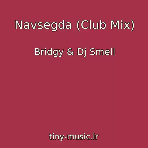 کاور آهنگ Navsegda (Club Mix) از Bridgy & Dj Smell