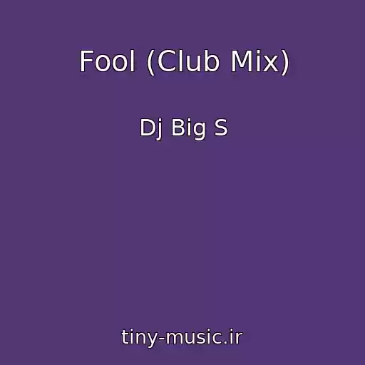 کاور آهنگ Fool (Club Mix) از Dj Big S