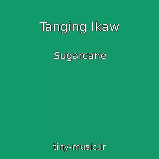 کاور آهنگ Tanging Ikaw از Sugarcane