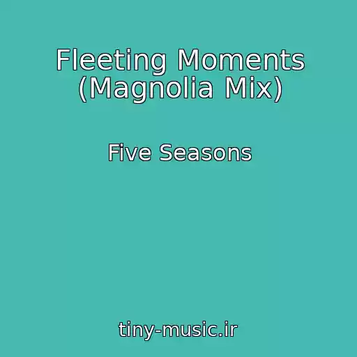 کاور آهنگ Fleeting Moments (Magnolia Mix) از Five Seasons