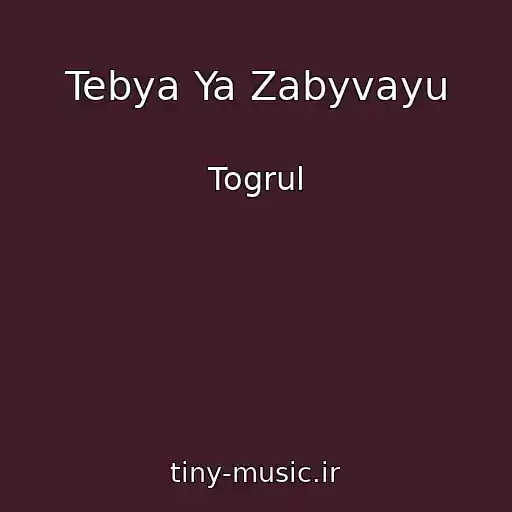 کاور آهنگ Tebya Ya Zabyvayu از Togrul