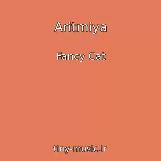 کاور آهنگ Aritmiya از Fancy Cat