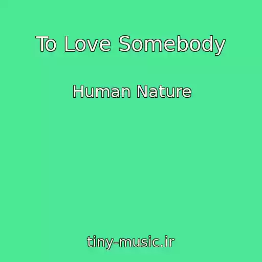 کاور آهنگ To Love Somebody از Human Nature