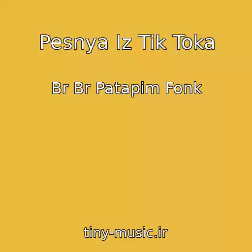 کاور آهنگ Pesnya Iz Tik Toka از Br Br Patapim Fonk