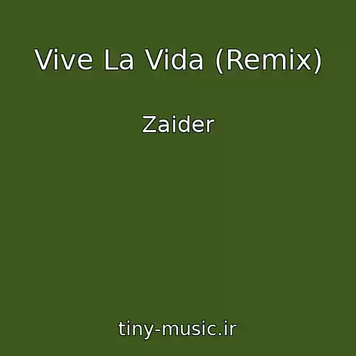 کاور آهنگ Vive La Vida (Remix) از Zaider