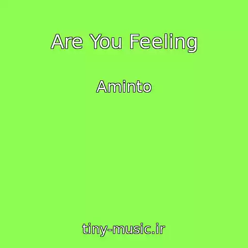 کاور آهنگ Are You Feeling از Aminto