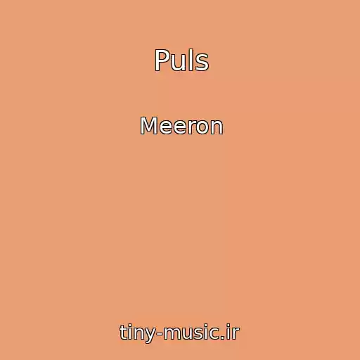 کاور آهنگ Puls از Meeron