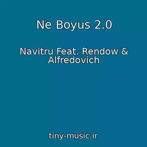 کاور آهنگ Ne Boyus 2.0 از Navitru Feat. Rendow & Alfredovich