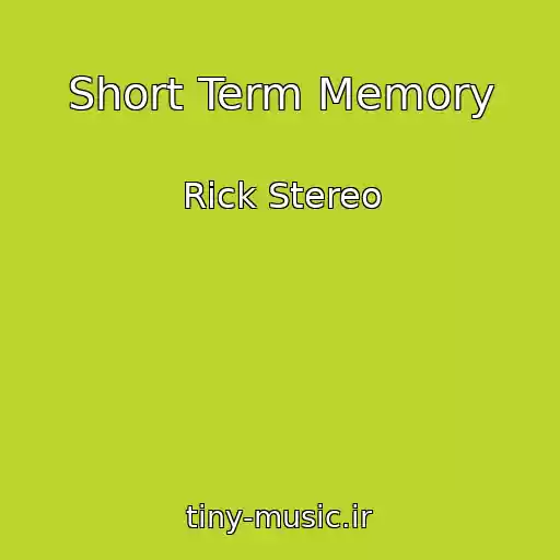 کاور آهنگ Short Term Memory از Rick Stereo