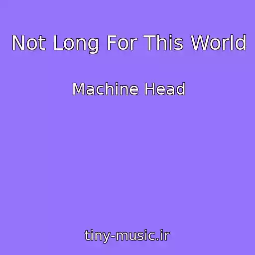 کاور آهنگ Not Long For This World از Machine Head