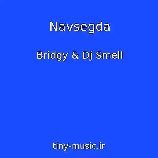 کاور آهنگ Navsegda از Bridgy & Dj Smell
