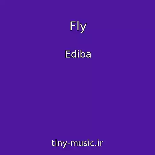 کاور آهنگ Fly از Ediba
