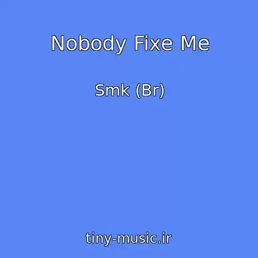 کاور آهنگ Nobody Fixe Me از Smk (Br)