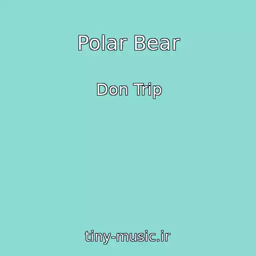 کاور آهنگ Polar Bear از Don Trip
