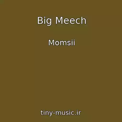 کاور آهنگ Big Meech از Momsii
