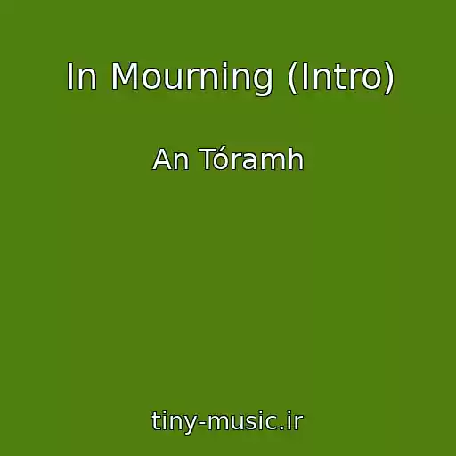 کاور آهنگ In Mourning (Intro) از An Tóramh