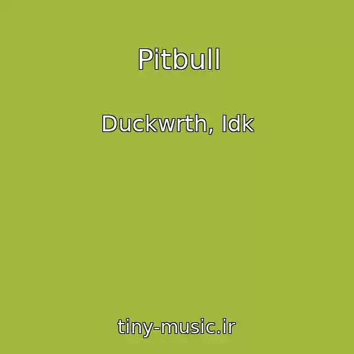 کاور آهنگ Pitbull از Duckwrth, Idk