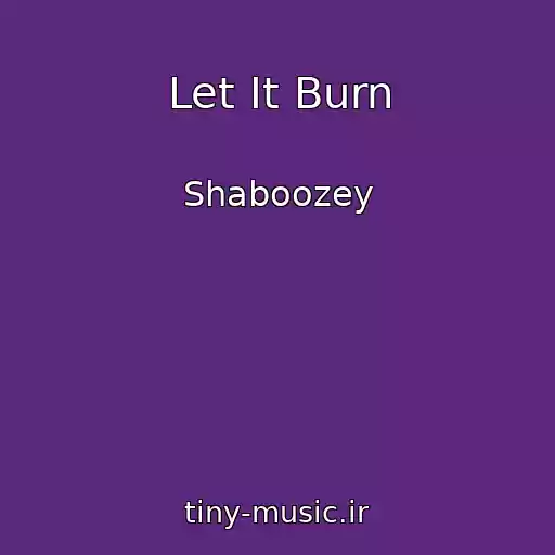 کاور آهنگ Let It Burn از Shaboozey