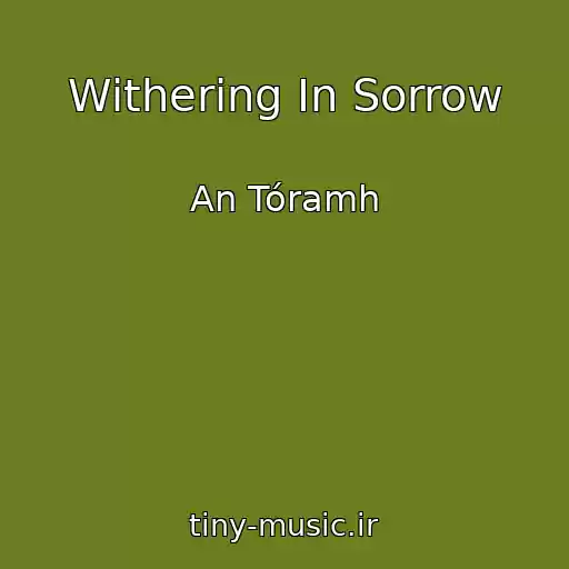کاور آهنگ Withering In Sorrow از An Tóramh