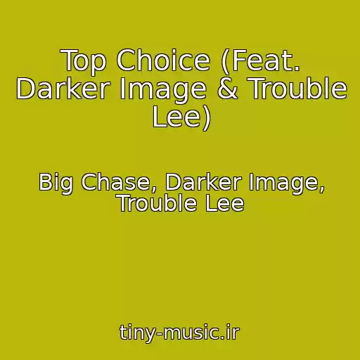 کاور آهنگ Top Choice (Feat. Darker Image & Trouble Lee) از Big Chase, Darker Image, Trouble Lee