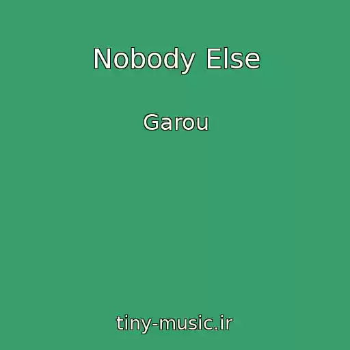 کاور آهنگ Nobody Else از Garou