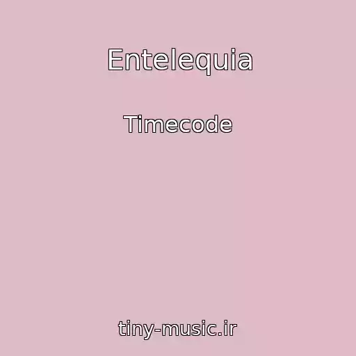 کاور آهنگ Entelequia از Timecode
