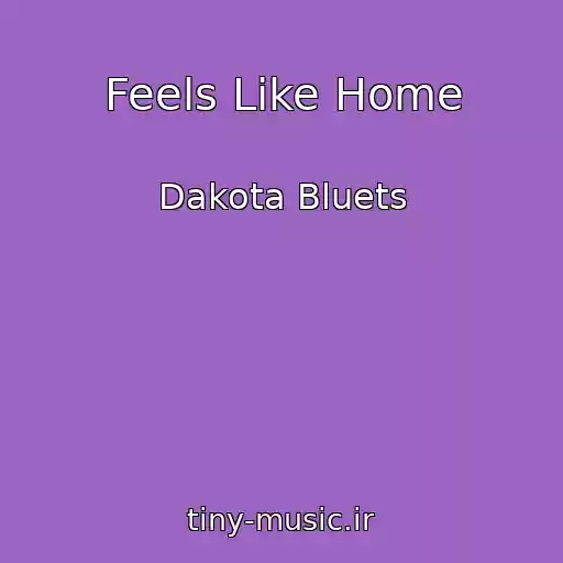 کاور آهنگ Feels Like Home از Dakota Bluets