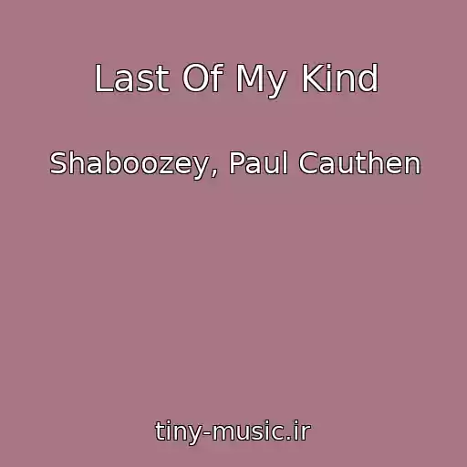 کاور آهنگ Last Of My Kind از Shaboozey, Paul Cauthen
