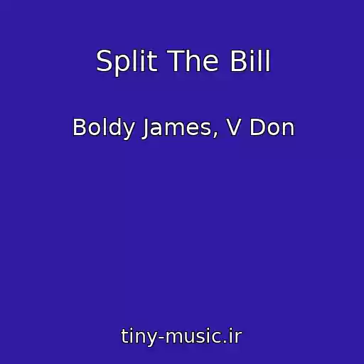 کاور آهنگ Split The Bill از Boldy James, V Don