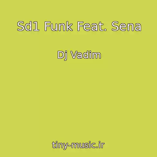 کاور آهنگ Sd1 Funk Feat. Sena از Dj Vadim
