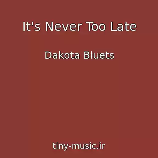 کاور آهنگ It's Never Too Late از Dakota Bluets