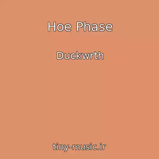 کاور آهنگ Hoe Phase از Duckwrth