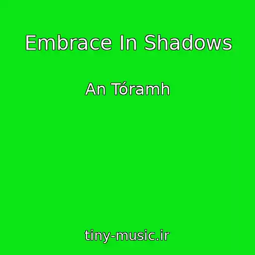 کاور آهنگ Embrace In Shadows از An Tóramh