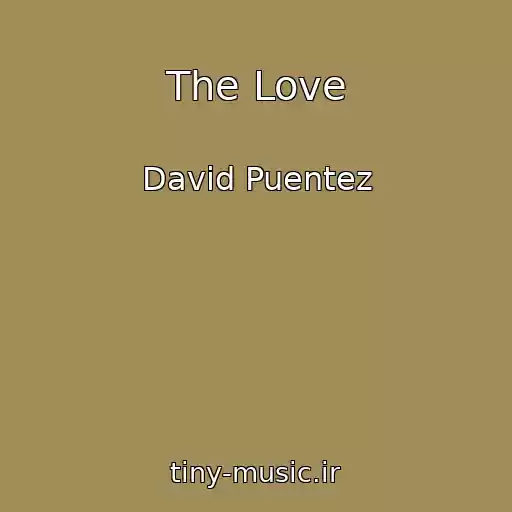 کاور آهنگ The Love از David Puentez