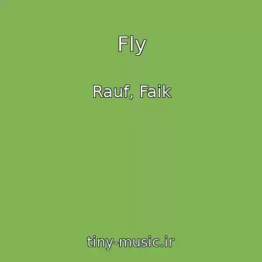 کاور آهنگ Fly از Rauf, Faik